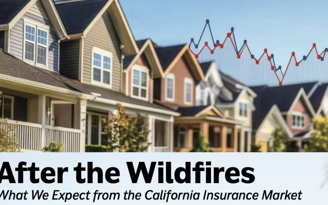 After the Wildfires